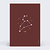 Carte anniversaire adulte Astro Lion Verso