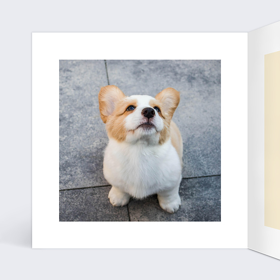 Carte anniversaire Corgi Love Intérieur Gauche