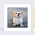 Anniversaire Adulte Corgi Love