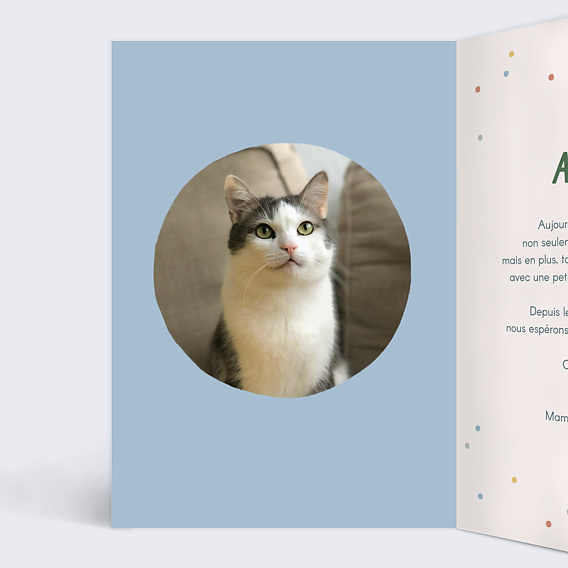 Carte anniversaire Channiversaire Intérieur Gauche