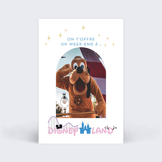 Anniversaire Adulte Bon pour Disney