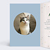 Carte anniversaire adulte Channiversaire Intérieur Gauche