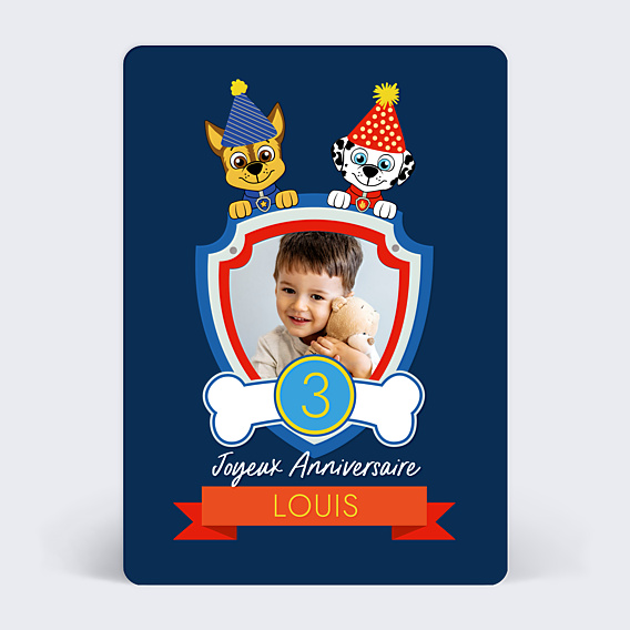 Anniversaire Enfant Patrouille Party