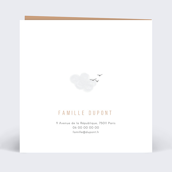 Anniversaire Enfant Petit aviateur
