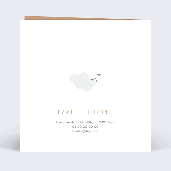 Carte anniversaire enfant Petit aviateur Verso