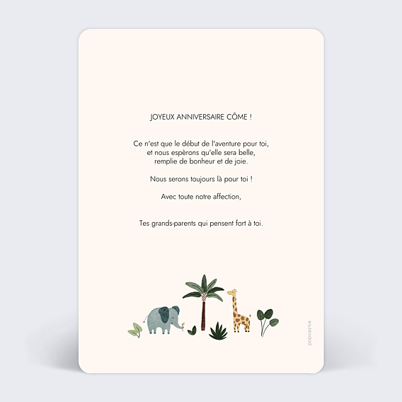 Anniversaire Enfant Petite Jungle