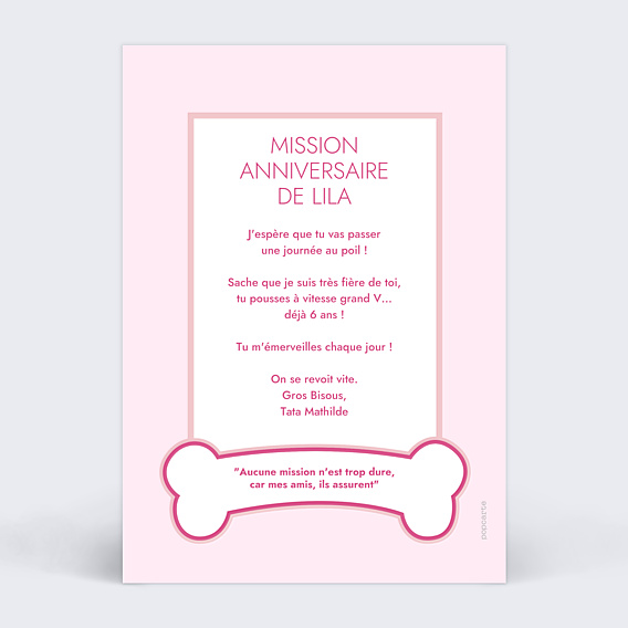 Anniversaire Enfant Patrouille Party Rose