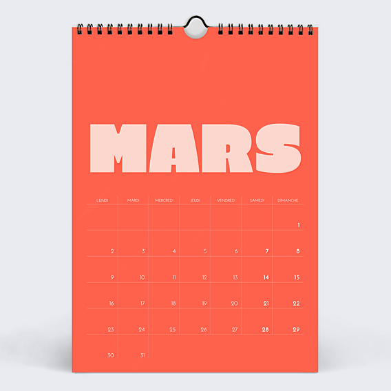 Calendrier famille Color bloc