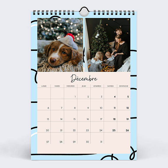 Calendrier famille Briller toute l'année - Alicia Flipo x Popcarte