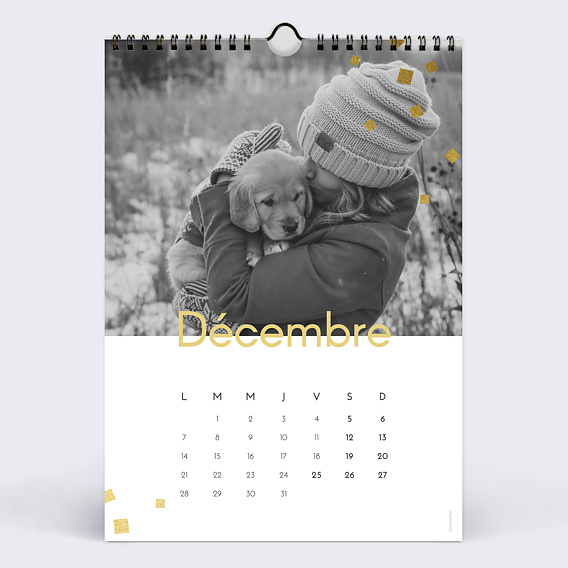 Calendrier famille Graphique Chic (13 Photos) Décembre