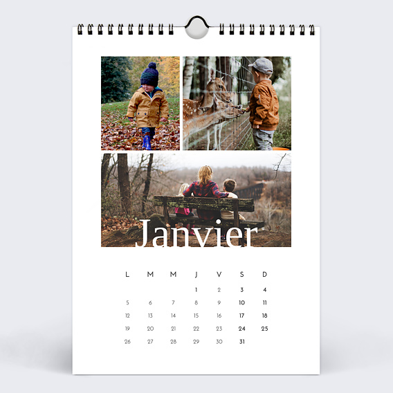 Calendrier famille Typographie Bâton (19 Photos)  Janvier