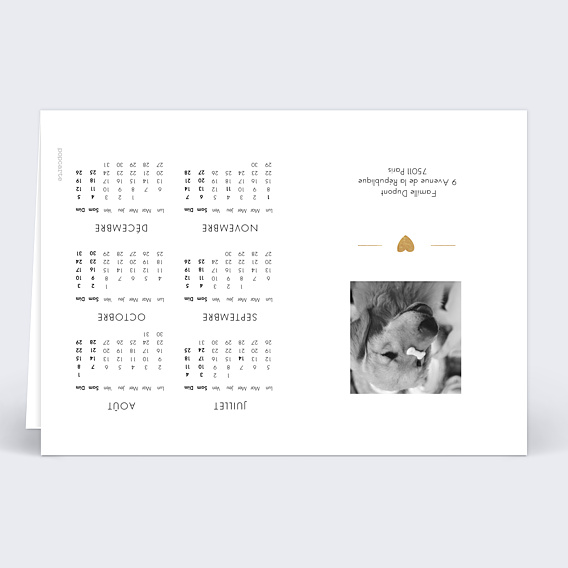 Calendrier famille Jeu Typographique (5 Photos)