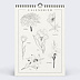 Calendrier famille Fleurs Minimalistes