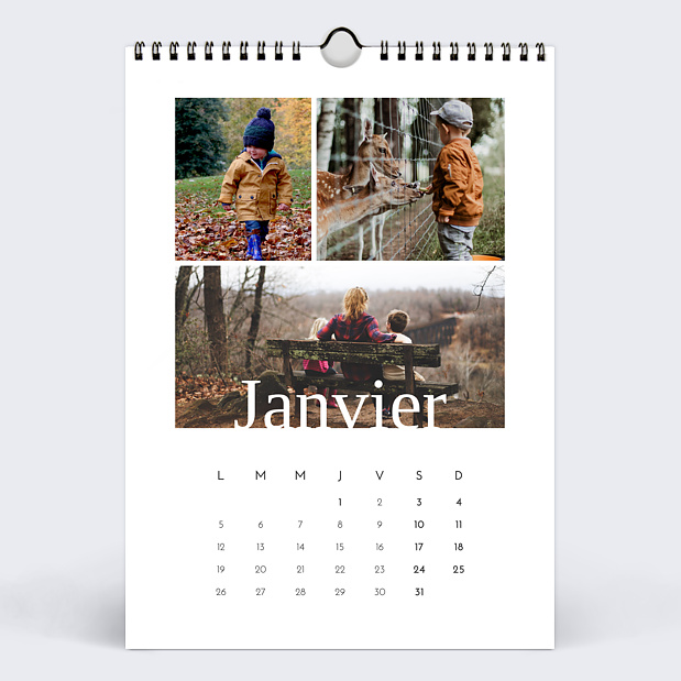 Calendrier Typographie Bâton (19 Photos) Janvier