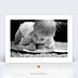Calendrier famille Jeu Typographique (5 Photos)