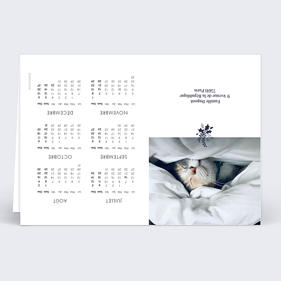 Calendrier famille Branche de Houx (3 Photos)
