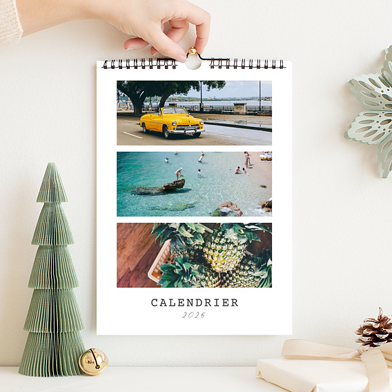 Calendrier famille Polaroid (35 Photos)