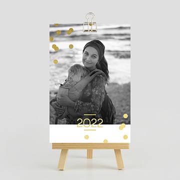 Calendrier Photo Graphique Chic (13 Photos)