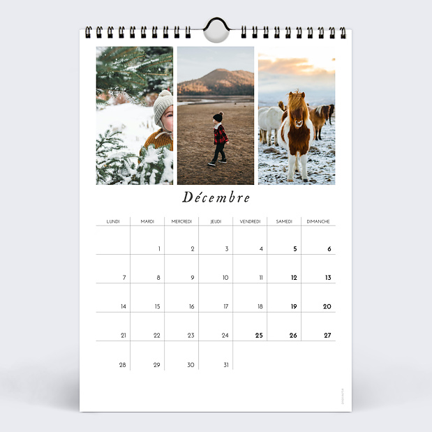Calendriers Photos Cadre Branches Décembre
