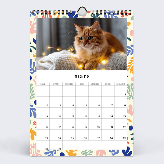 Calendrier famille Petits Motifs (13 photos) Mars