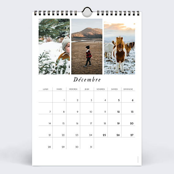 Calendrier famille Cadre Branches