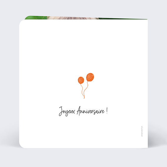Anniversaire Enfant Fanions Bucoliques