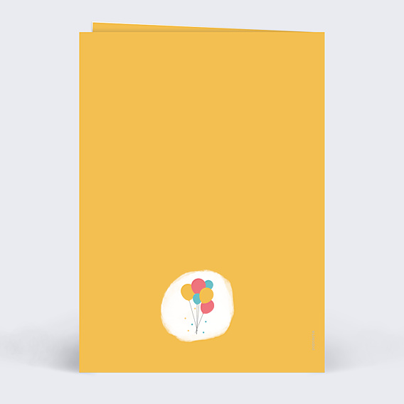 Anniversaire Adulte Multicolore