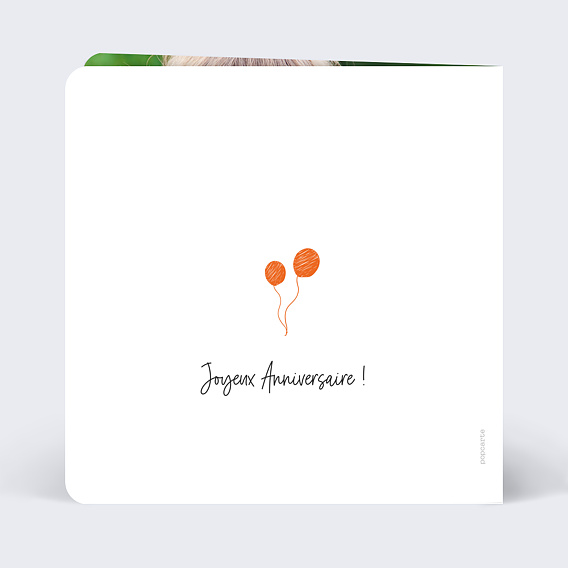 Carte anniversaire enfant Fanions Bucoliques Verso