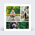 Carte anniversaire enfant Multiphotos Charme Classique Verso