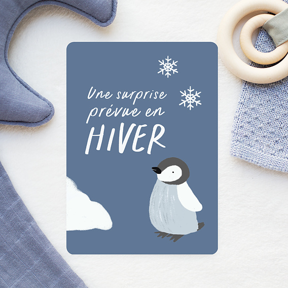 Carte Annonce Grossesse Bébé Hiver