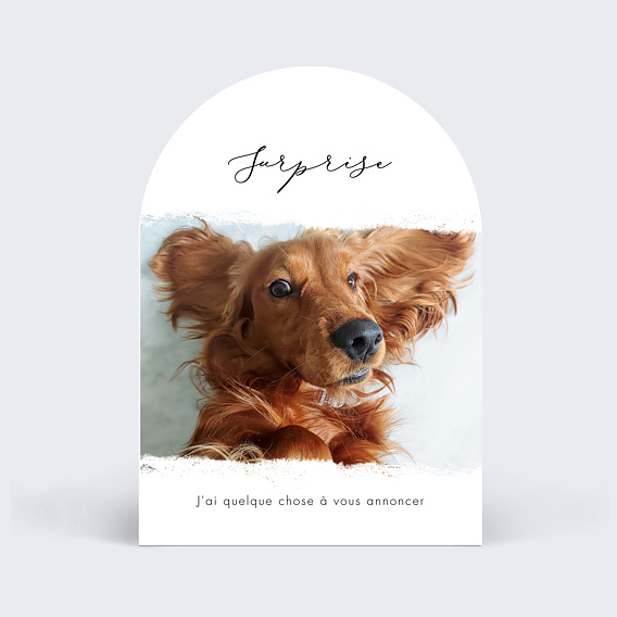 Carte Annonce Grossesse Effet photo