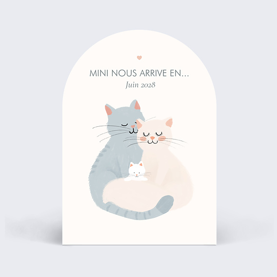 Carte annonce grossesse Mini nous
