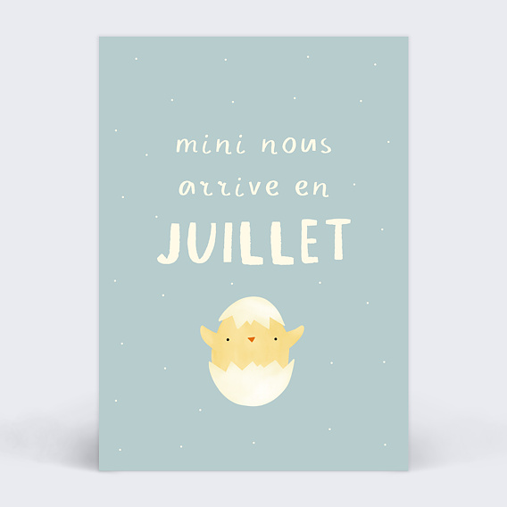 Carte annonce grossesse Poussin