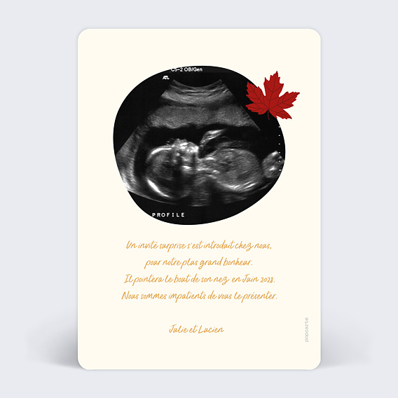 Carte annonce grossesse Bébé Automne Verso