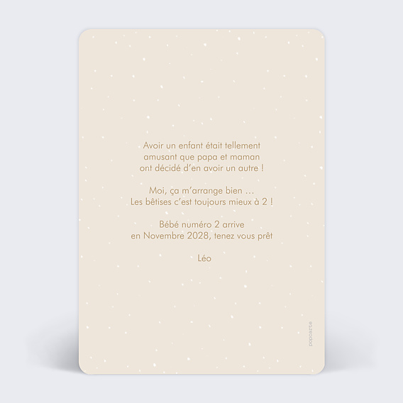 Carte annonce grossesse Frères Ours Verso