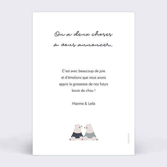 Carte Annonce Grossesse Jumeaux Oursons