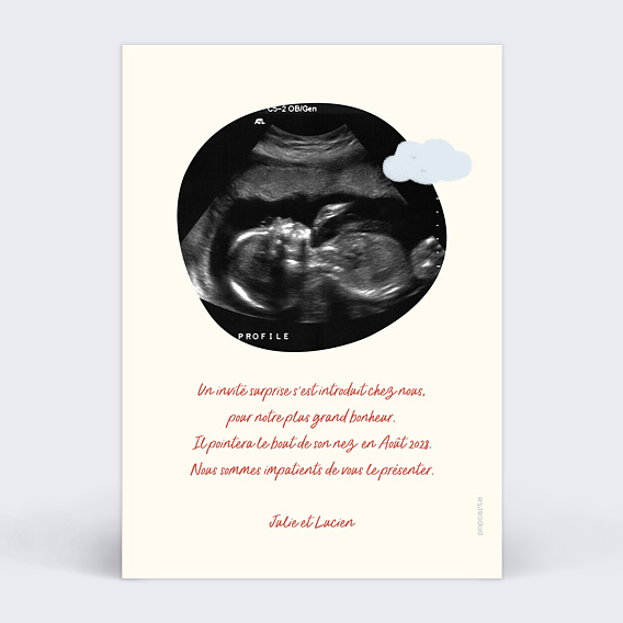 Carte annonce grossesse Bébé Été Verso