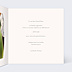 Carte Annonce Grossesse Dinosaure
