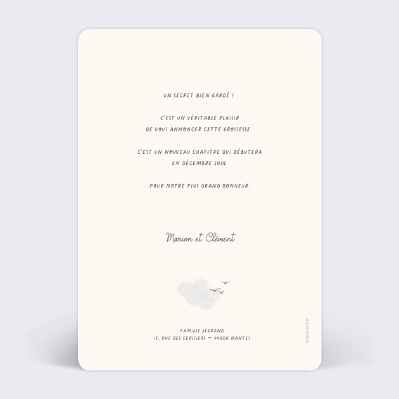 Carte annonce grossesse Frise Aventure Verso