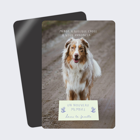 Carte annonce grossesse Nouveau Membre