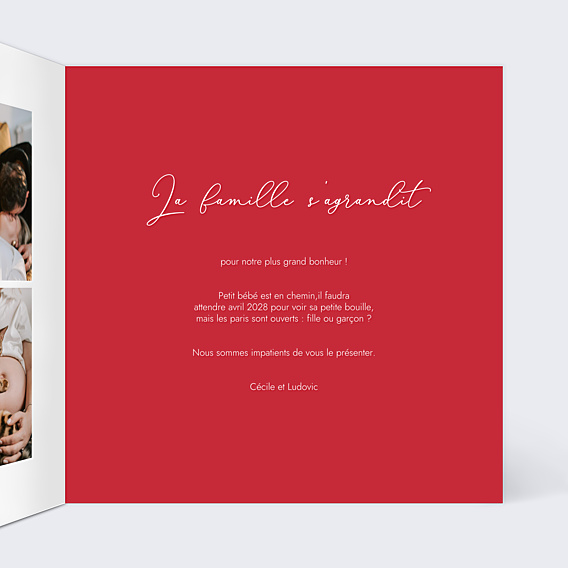 Carte Annonce Grossesse Photo Coeur