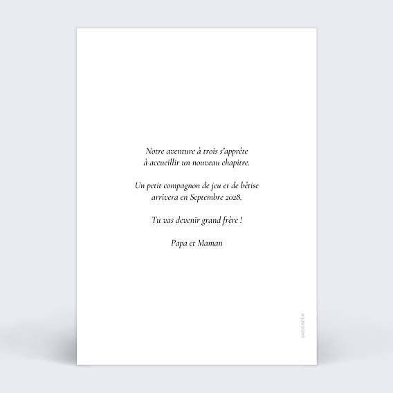Carte annonce grossesse Définition frère Verso