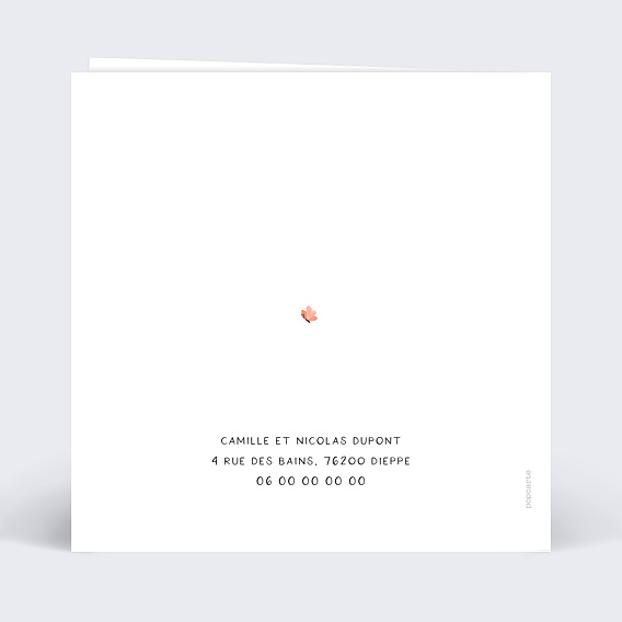 Carte annonce grossesse Couffin Verso