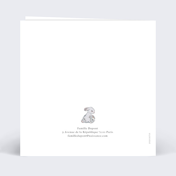 Carte annonce grossesse Petits Lapins Verso
