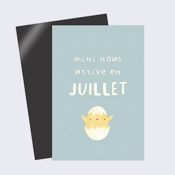 Carte Annonce Grossesse Poussin