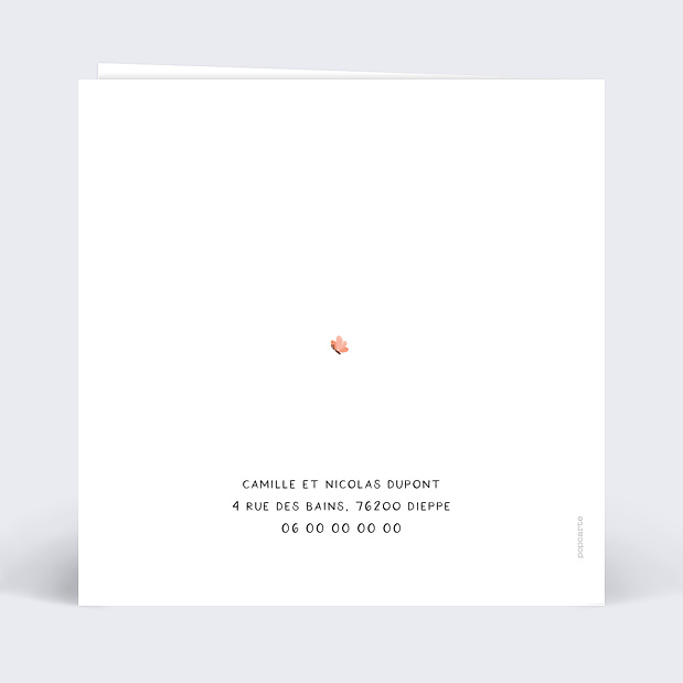 Carte Annonce Grossesse Couffin Verso