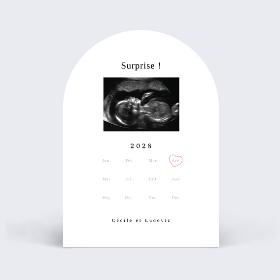 Carte annonce grossesse Calendrier Naissance