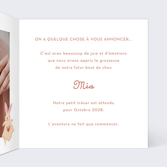 Carte annonce grossesse Corde à linge Intérieur Droit