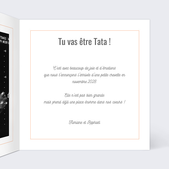 Carte annonce grossesse Petite Crevette Intérieur Droit