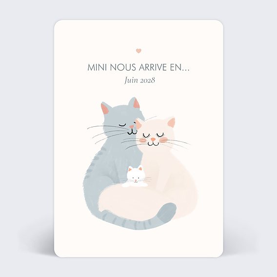 Carte annonce grossesse Mini nous